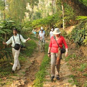 Kerala Explorer